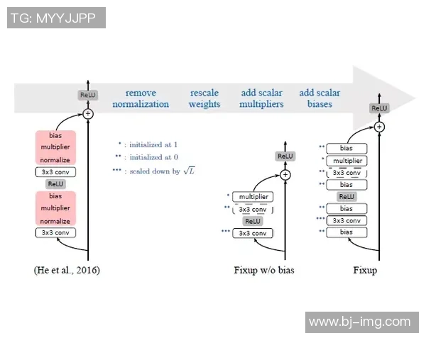全面提升运动表现的科学训练方法与技巧解析